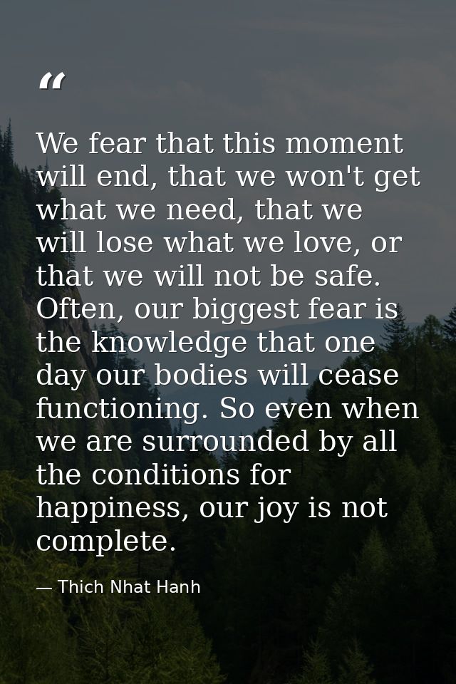 We fear that this moment will end, that we won't get what we need, that we will lose what we love, or that we will not b — Thich Nhat Hanh