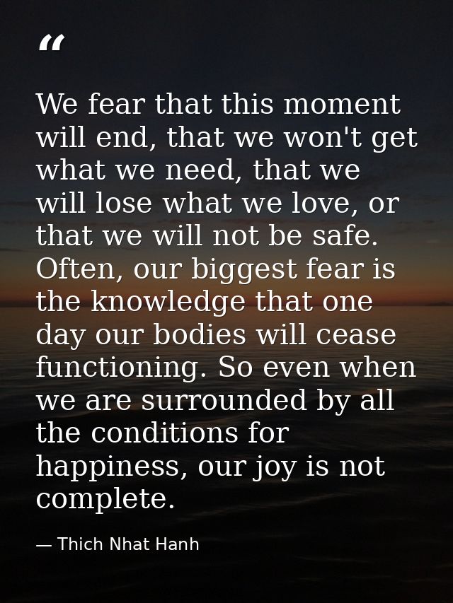 We fear that this moment will end, that we won't get what we need, that we will lose what we love, or that we will not b — Thich Nhat Hanh