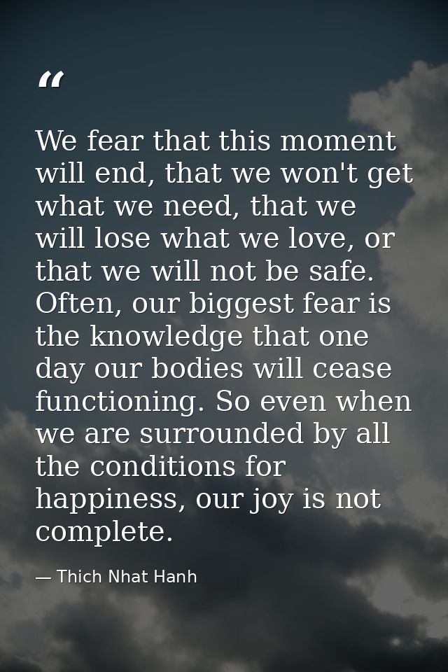 We fear that this moment will end, that we won't get what we need, that we will lose what we love, or that we will not b — Thich Nhat Hanh