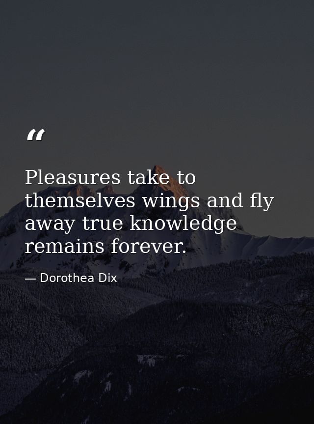 Pleasures take to themselves wings and fly away true knowledge remains forever. — Dorothea Dix