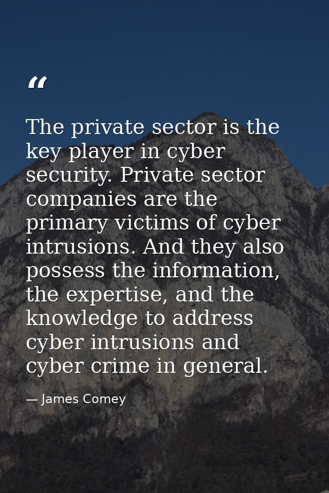 The private sector is the key player in cyber security. Private sector companies are the primary victims of cyber intrus — James Comey