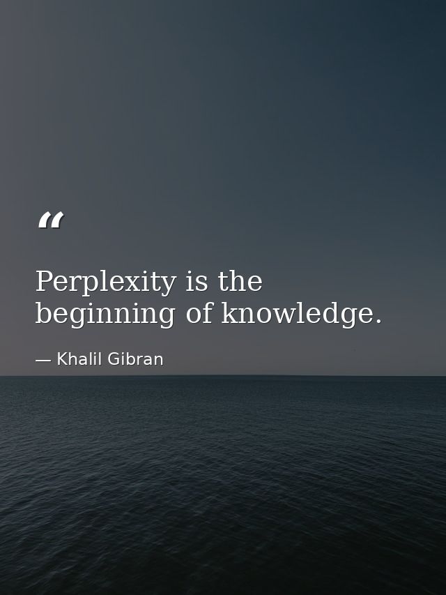 Perplexity is the beginning of knowledge. — Khalil Gibran