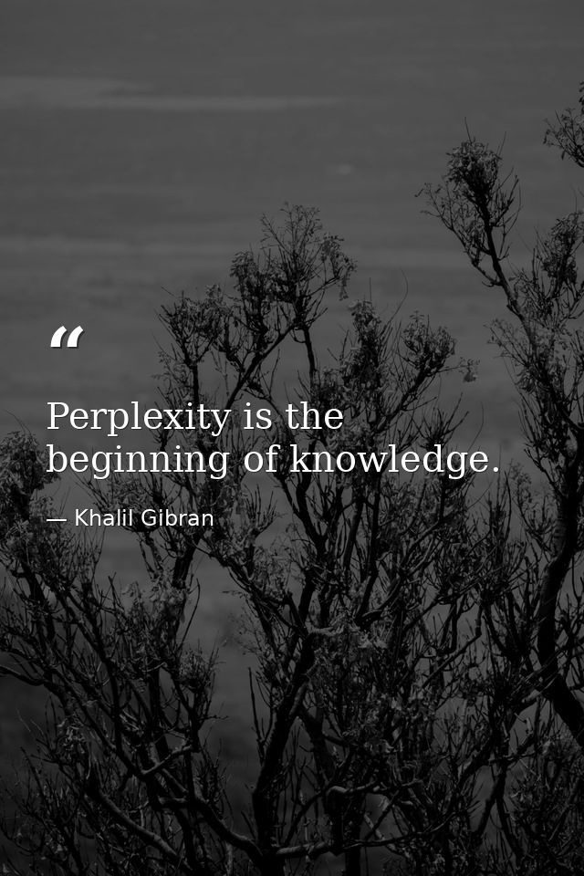 Perplexity is the beginning of knowledge. — Khalil Gibran