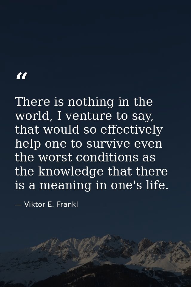 There is nothing in the world, I venture to say, that would so effectively help one to survive even the worst conditions — Viktor E. Frankl
