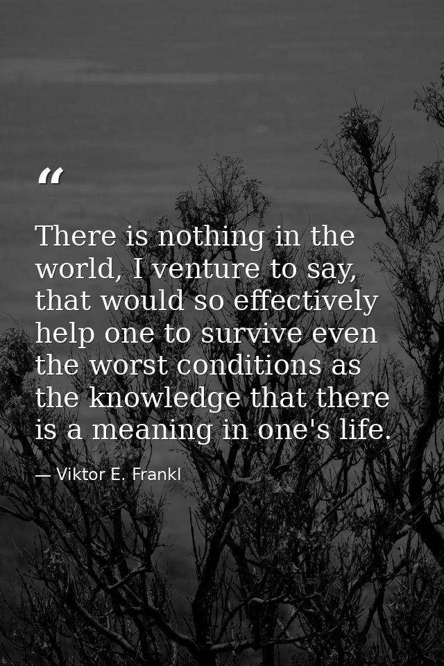 There is nothing in the world, I venture to say, that would so effectively help one to survive even the worst conditions — Viktor E. Frankl