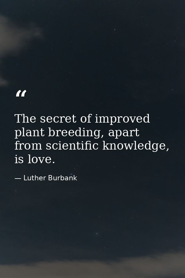 The secret of improved plant breeding, apart from scientific knowledge, is love. — Luther Burbank