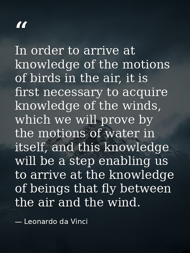 In order to arrive at knowledge of the motions of birds in the air, it is first necessary to acquire knowledge of the wi — Leonardo da Vinci