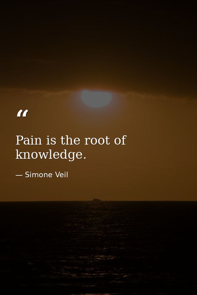 Pain is the root of knowledge. — Simone Veil