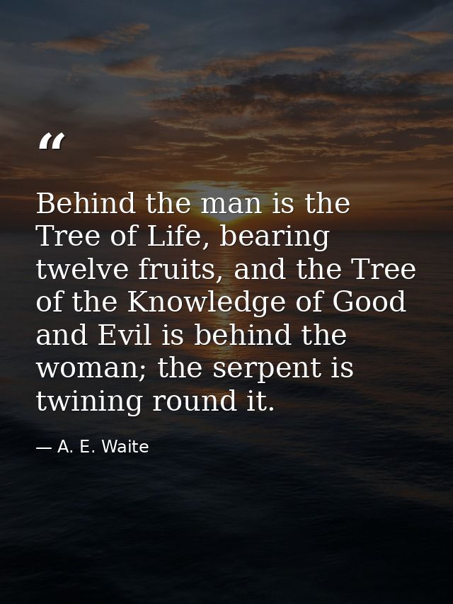 Behind the man is the Tree of Life, bearing twelve fruits, and the Tree of the Knowledge of Good and Evil is behind the  — A. E. Waite