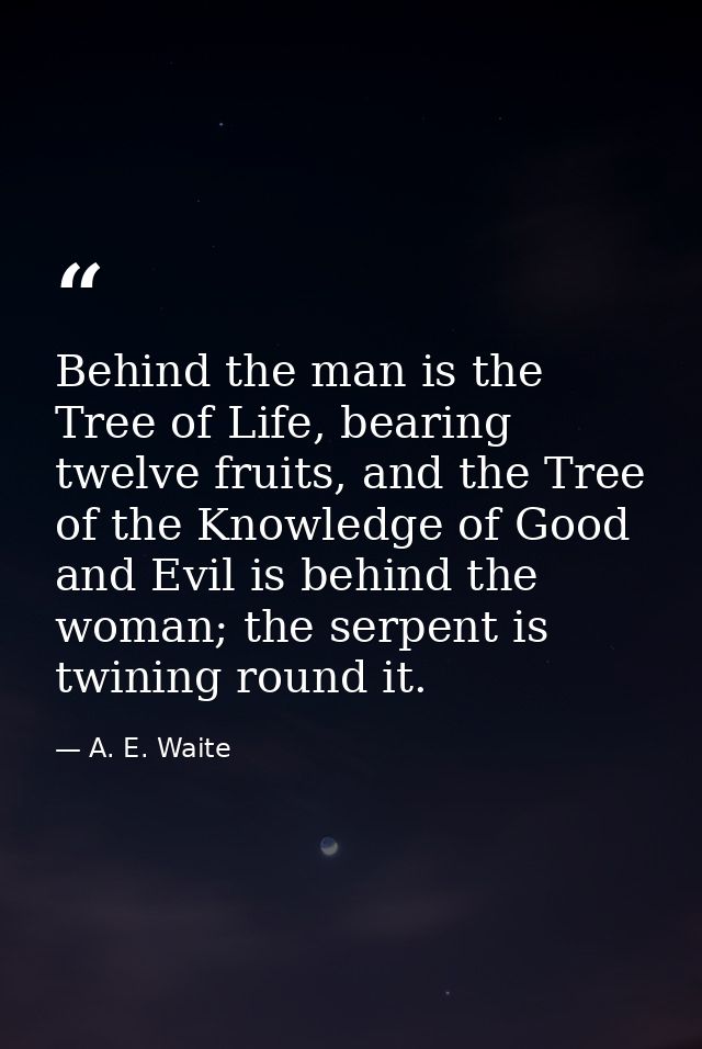 Behind the man is the Tree of Life, bearing twelve fruits, and the Tree of the Knowledge of Good and Evil is behind the  — A. E. Waite