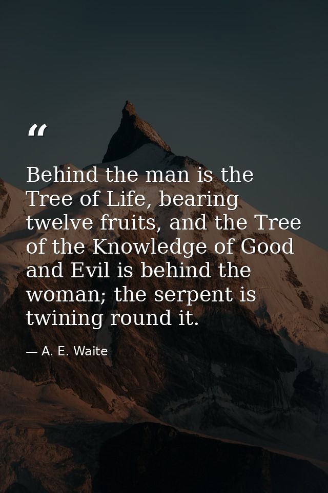 Behind the man is the Tree of Life, bearing twelve fruits, and the Tree of the Knowledge of Good and Evil is behind the  — A. E. Waite