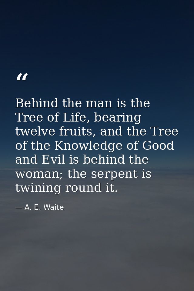Behind the man is the Tree of Life, bearing twelve fruits, and the Tree of the Knowledge of Good and Evil is behind the  — A. E. Waite