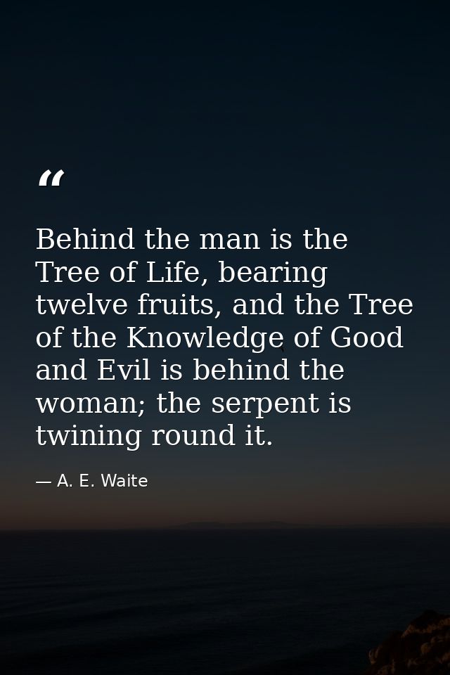 Behind the man is the Tree of Life, bearing twelve fruits, and the Tree of the Knowledge of Good and Evil is behind the  — A. E. Waite