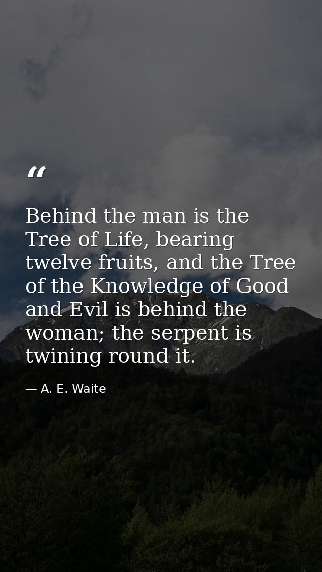 Behind the man is the Tree of Life, bearing twelve fruits, and the Tree of the Knowledge of Good and Evil is behind the  — A. E. Waite