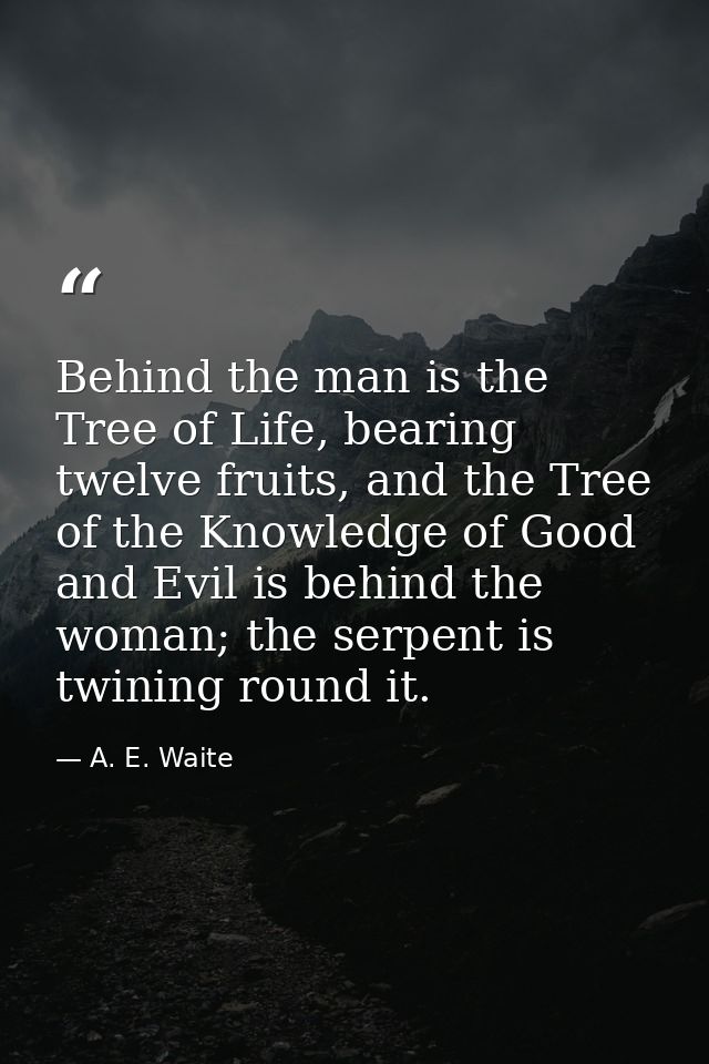Behind the man is the Tree of Life, bearing twelve fruits, and the Tree of the Knowledge of Good and Evil is behind the  — A. E. Waite