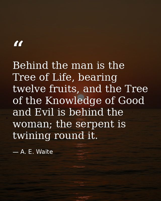 Behind the man is the Tree of Life, bearing twelve fruits, and the Tree of the Knowledge of Good and Evil is behind the  — A. E. Waite