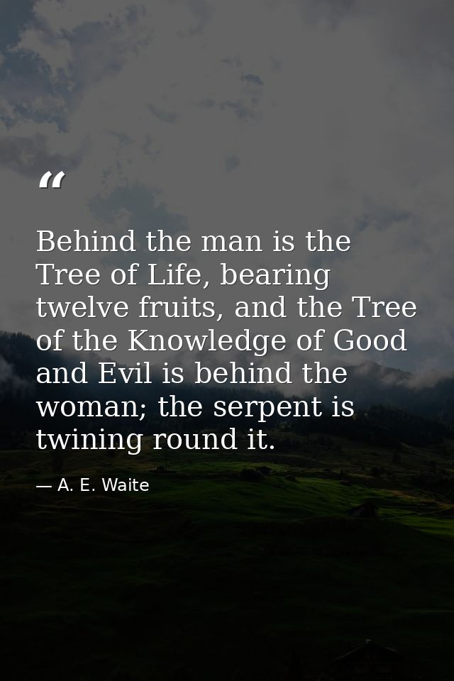 Behind the man is the Tree of Life, bearing twelve fruits, and the Tree of the Knowledge of Good and Evil is behind the  — A. E. Waite