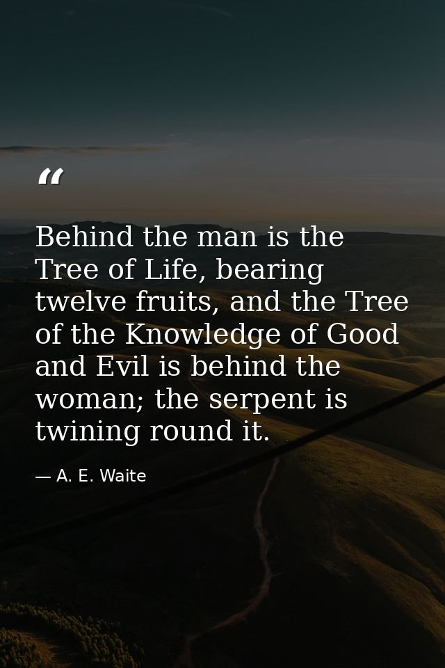 Behind the man is the Tree of Life, bearing twelve fruits, and the Tree of the Knowledge of Good and Evil is behind the  — A. E. Waite