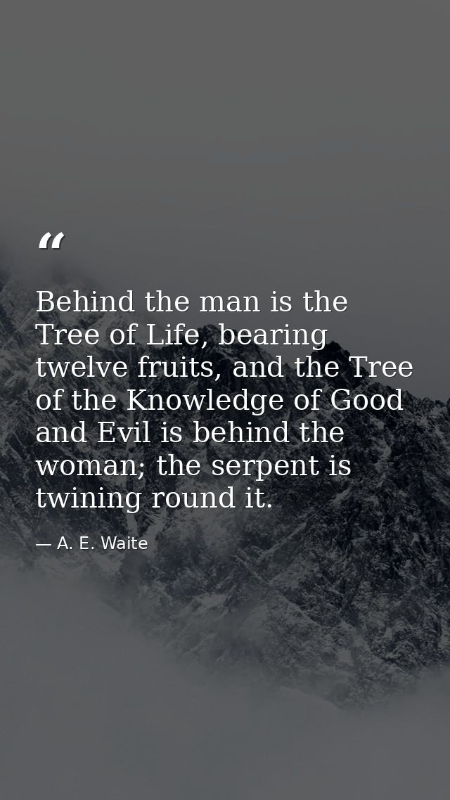 Behind the man is the Tree of Life, bearing twelve fruits, and the Tree of the Knowledge of Good and Evil is behind the  — A. E. Waite