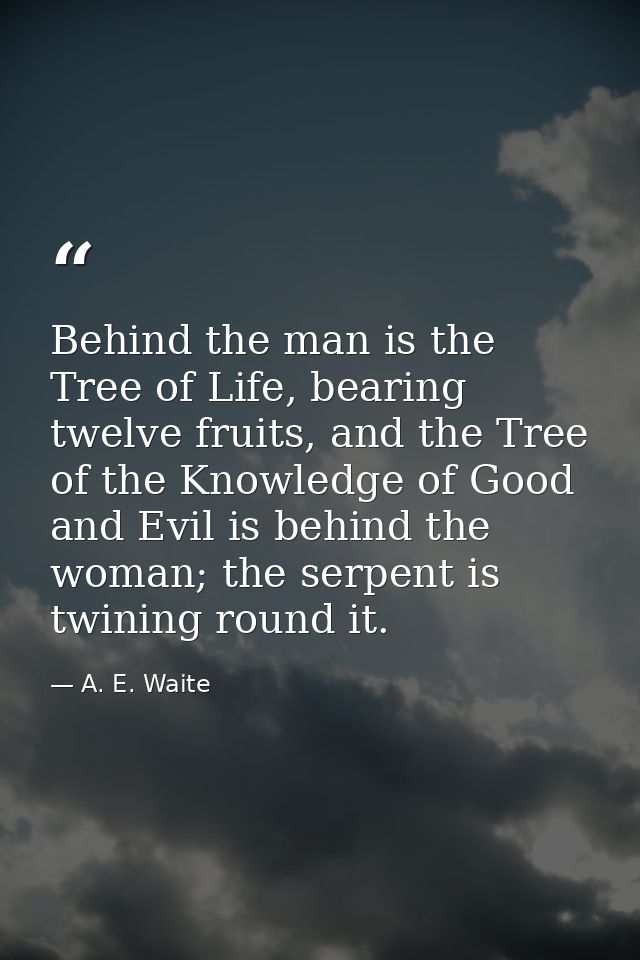 Behind the man is the Tree of Life, bearing twelve fruits, and the Tree of the Knowledge of Good and Evil is behind the  — A. E. Waite