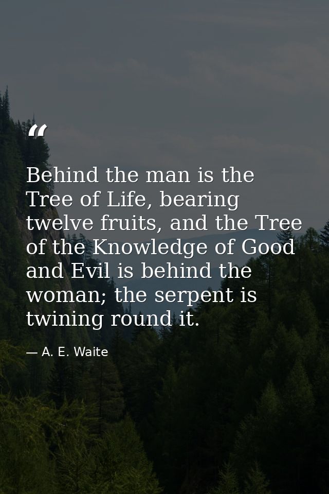 Behind the man is the Tree of Life, bearing twelve fruits, and the Tree of the Knowledge of Good and Evil is behind the  — A. E. Waite