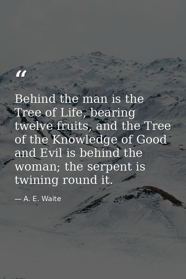 Behind the man is the Tree of Life, bearing twelve fruits, and the Tree of the Knowledge of Good and Evil is behind the  — A. E. Waite