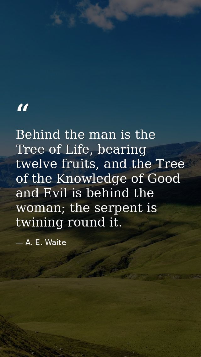 Behind the man is the Tree of Life, bearing twelve fruits, and the Tree of the Knowledge of Good and Evil is behind the  — A. E. Waite