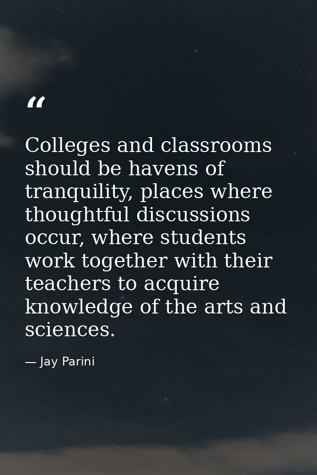 Colleges and classrooms should be havens of tranquility, places where thoughtful discussions occur, where students work  — Jay Parini