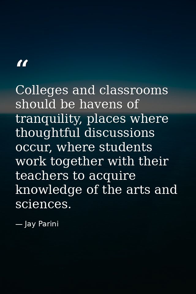Colleges and classrooms should be havens of tranquility, places where thoughtful discussions occur, where students work  — Jay Parini