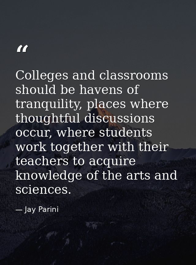 Colleges and classrooms should be havens of tranquility, places where thoughtful discussions occur, where students work  — Jay Parini