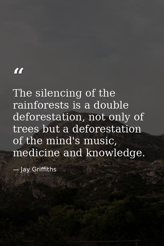 The silencing of the rainforests is a double deforestation, not only of trees but a deforestation of the mind's music, m — Jay Griffiths
