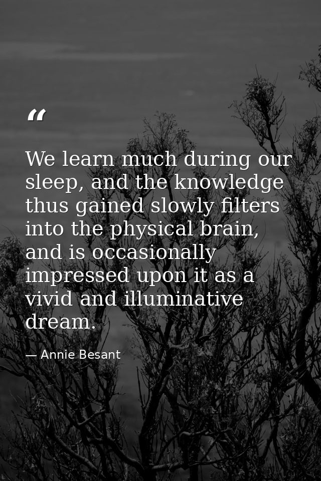 We learn much during our sleep, and the knowledge thus gained slowly filters into the physical brain, and is occasionall — Annie Besant