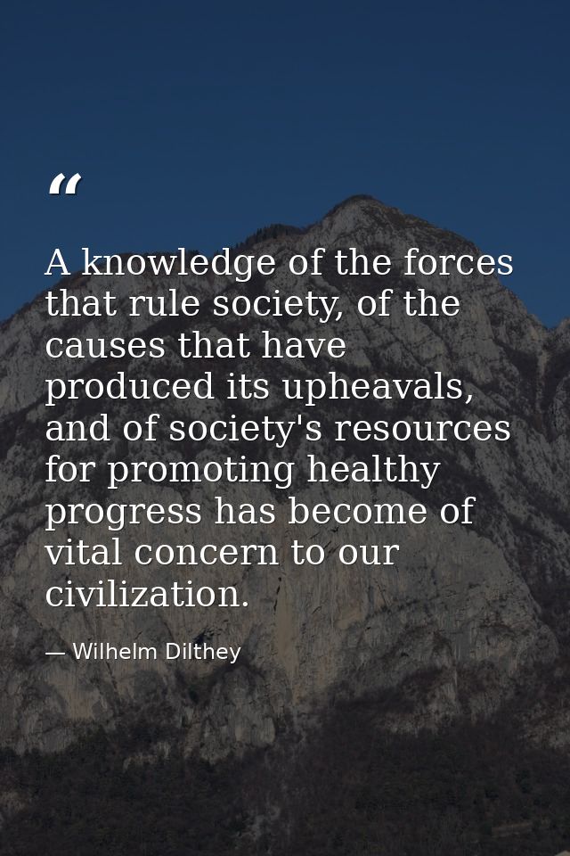 A knowledge of the forces that rule society, of the causes that have produced its upheavals, and of society's resources  — Wilhelm Dilthey