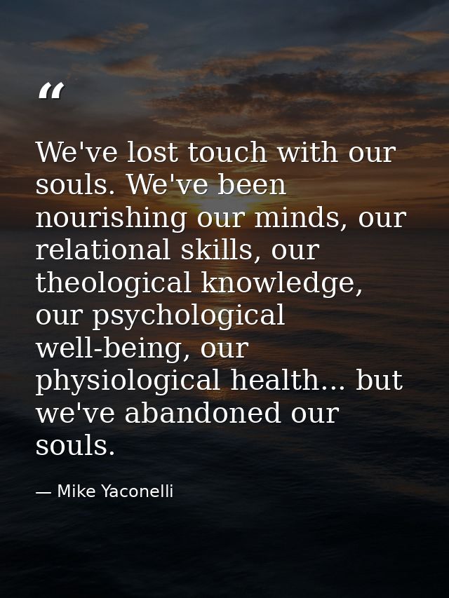 We've lost touch with our souls. We've been nourishing our minds, our relational skills, our theological knowledge, our  — Mike Yaconelli