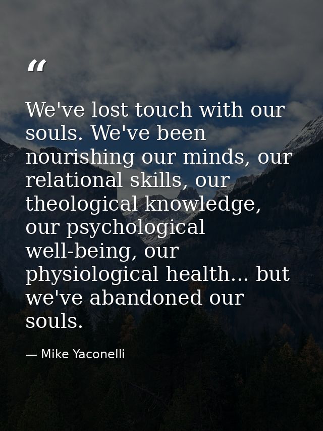 We've lost touch with our souls. We've been nourishing our minds, our relational skills, our theological knowledge, our  — Mike Yaconelli