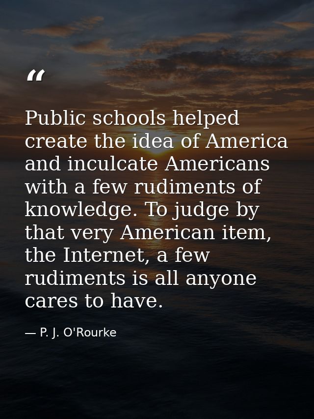 Public schools helped create the idea of America and inculcate Americans with a few rudiments of knowledge. To judge by  — P. J. O'Rourke