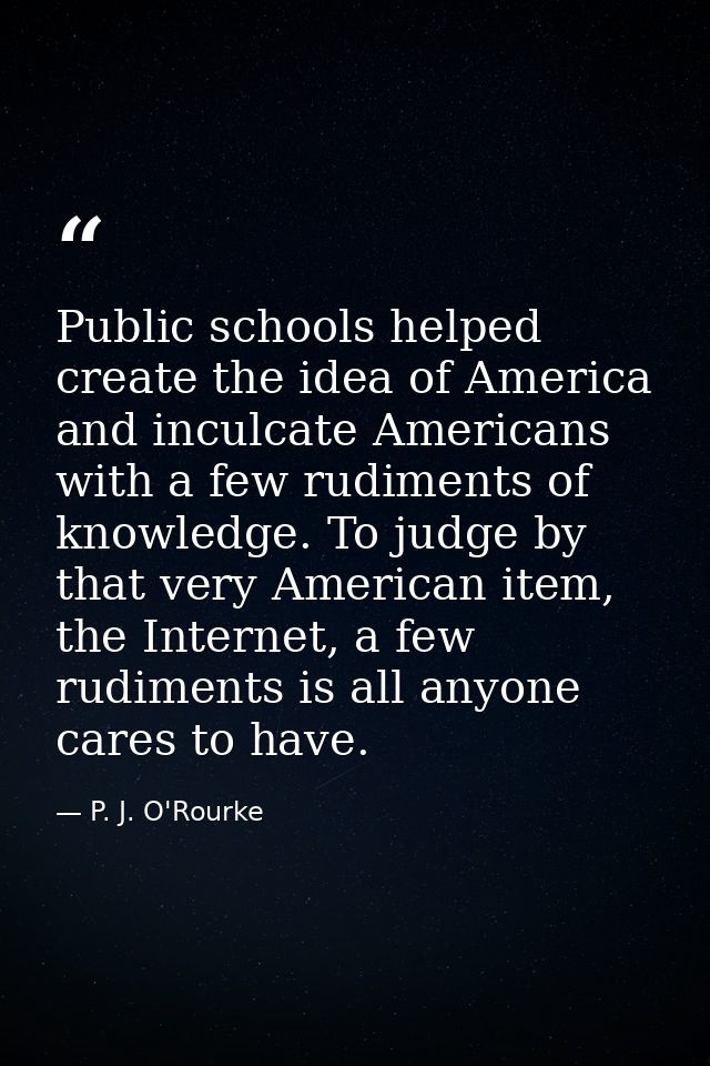 Public schools helped create the idea of America and inculcate Americans with a few rudiments of knowledge. To judge by  — P. J. O'Rourke