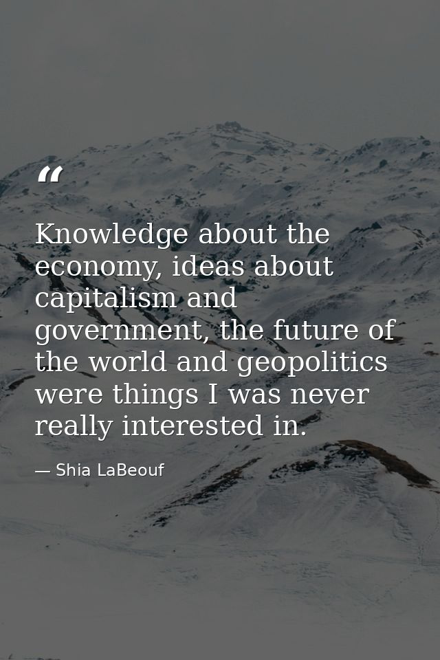 Knowledge about the economy, ideas about capitalism and government, the future of the world and geopolitics were things  — Shia LaBeouf