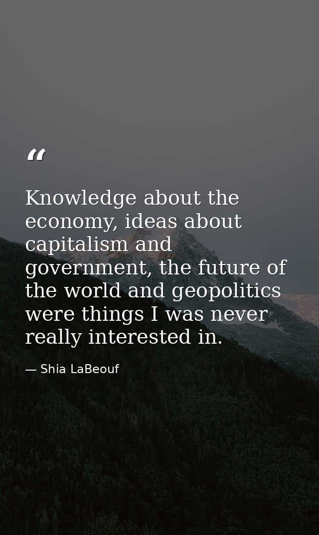 Knowledge about the economy, ideas about capitalism and government, the future of the world and geopolitics were things  — Shia LaBeouf