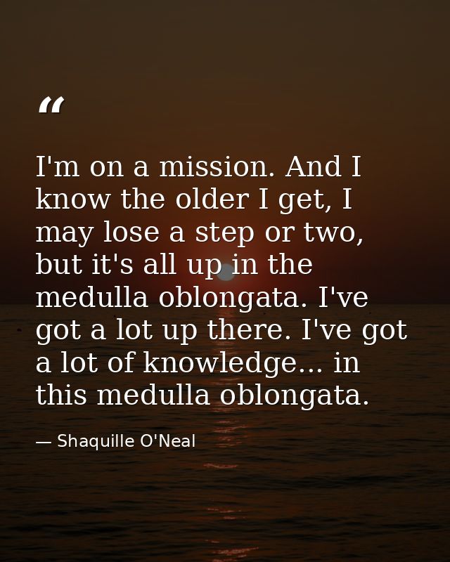 I'm on a mission. And I know the older I get, I may lose a step or two, but it's all up in the medulla oblongata. I've g — Shaquille O'Neal
