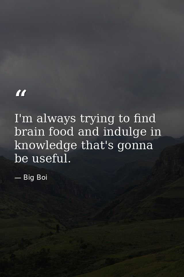 I'm always trying to find brain food and indulge in knowledge that's gonna be useful. — Big Boi