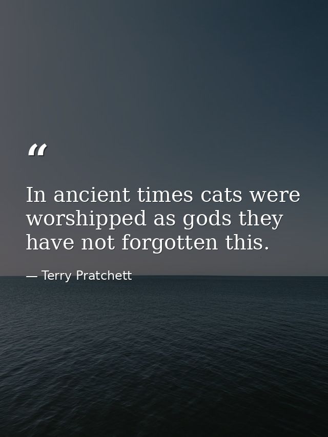 In ancient times cats were worshipped as gods they have not forgotten this. — Terry Pratchett