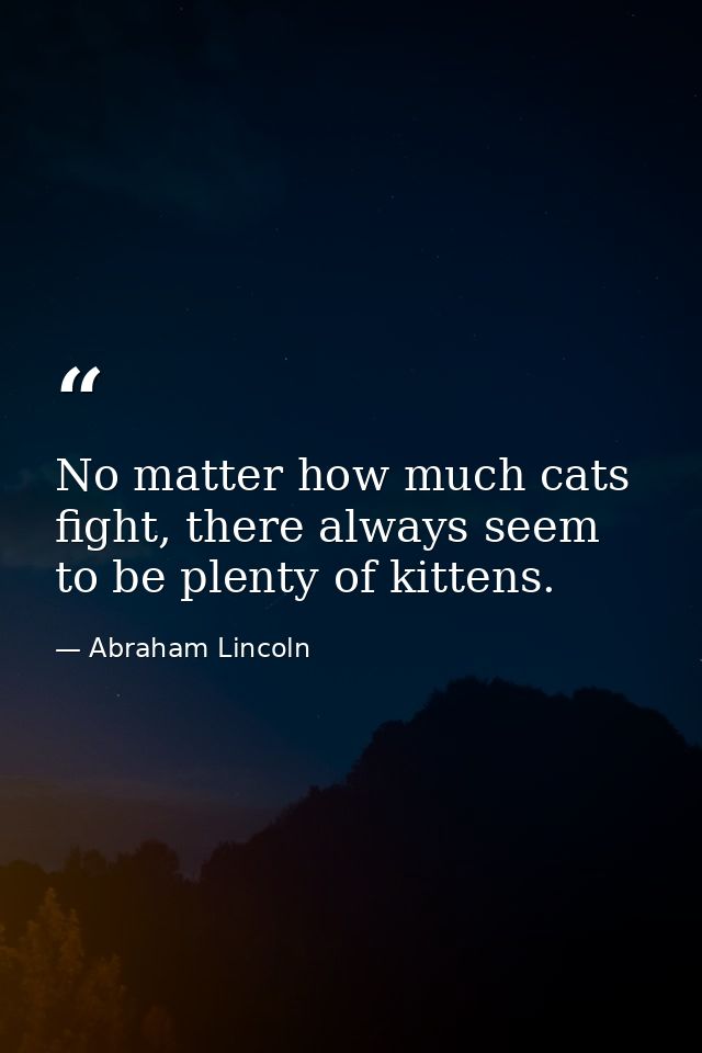 No matter how much cats fight, there always seem to be plenty of kittens. — Abraham Lincoln