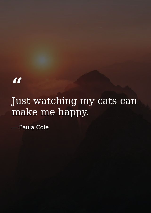 Just watching my cats can make me happy. — Paula Cole