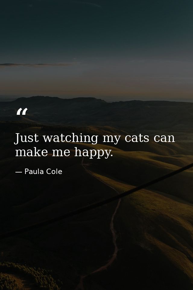 Just watching my cats can make me happy. — Paula Cole