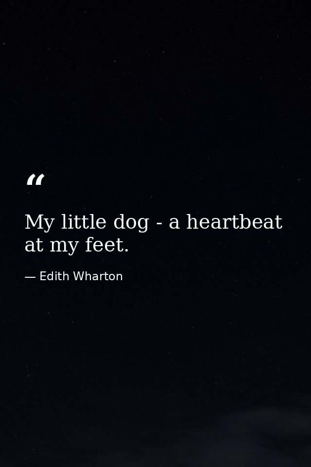 My little dog - a heartbeat at my feet. — Edith Wharton