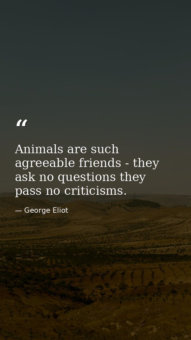 Animals are such agreeable friends - they ask no questions they pass no criticisms. — George Eliot