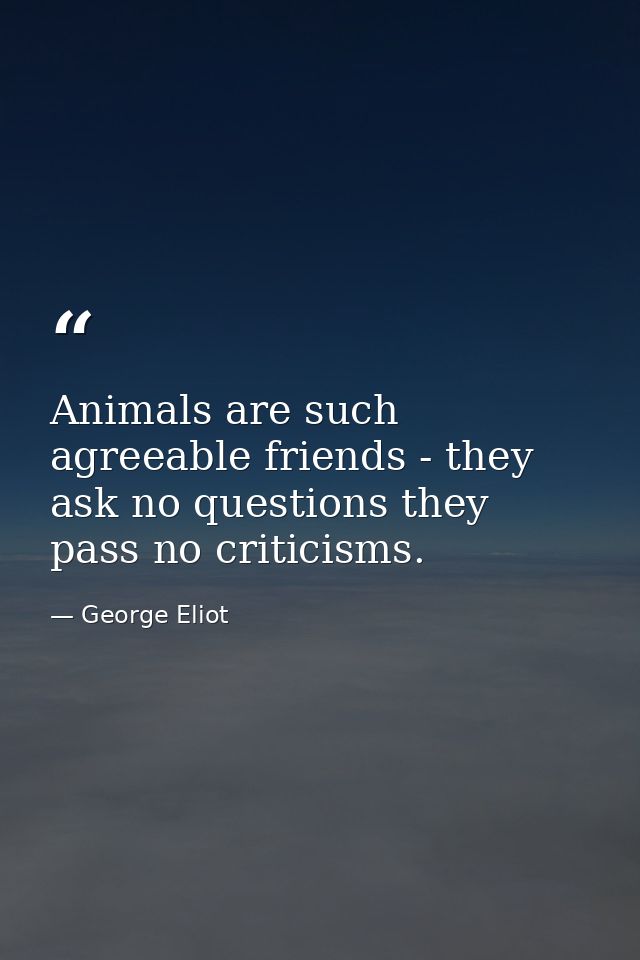 Animals are such agreeable friends - they ask no questions they pass no criticisms. — George Eliot
