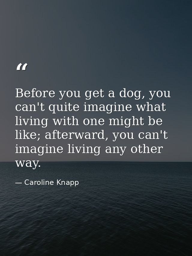 Before you get a dog, you can't quite imagine what living with one might be like; afterward, you can't imagine living an — Caroline Knapp