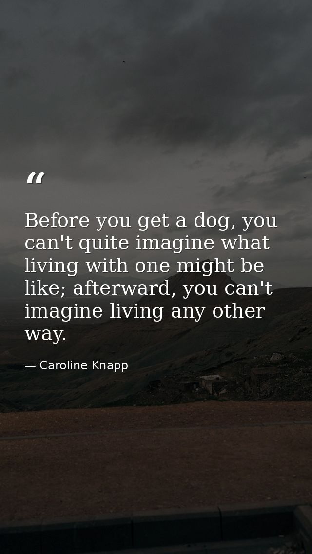 Before you get a dog, you can't quite imagine what living with one might be like; afterward, you can't imagine living an — Caroline Knapp